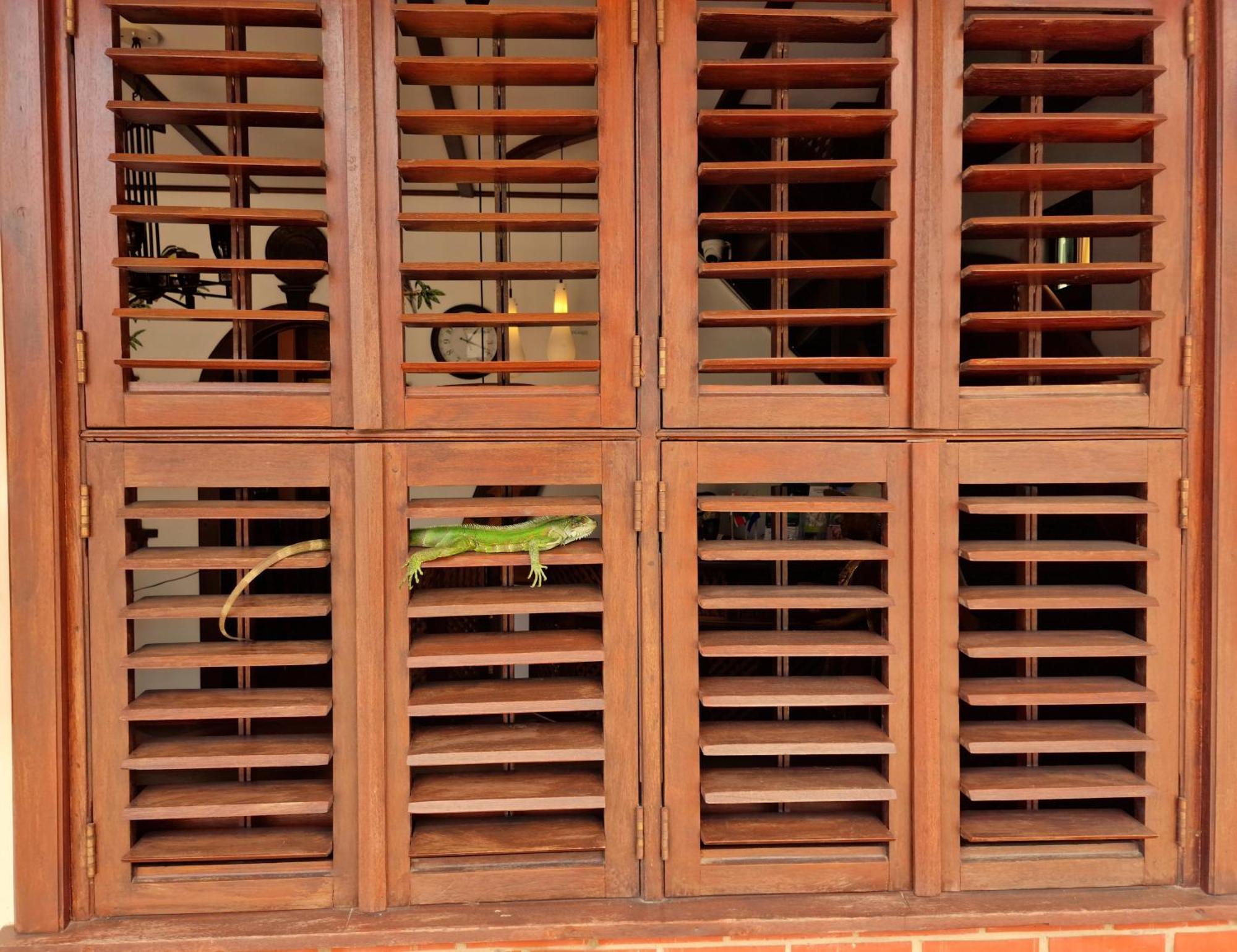 Greenheart Boutique Hotel Paramaribo Ngoại thất bức ảnh